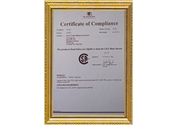 CSA International Certification